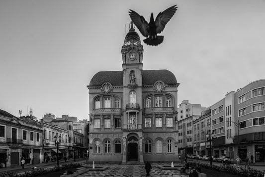 Palace 
