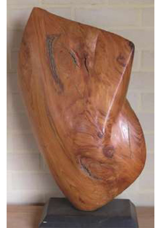 Torso