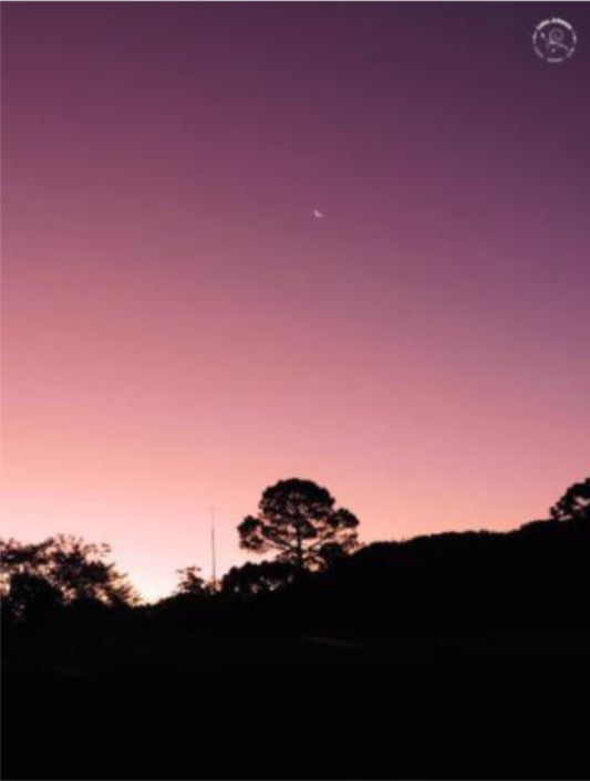 Série Sintonia e Movimento  - Purple Sky