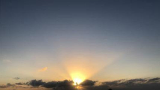 Série Sintonia e Movimento - Sunrise