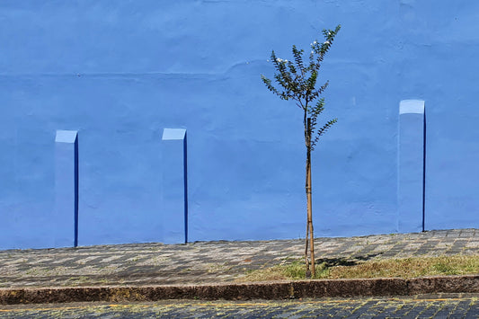 Sin título - Pared azul