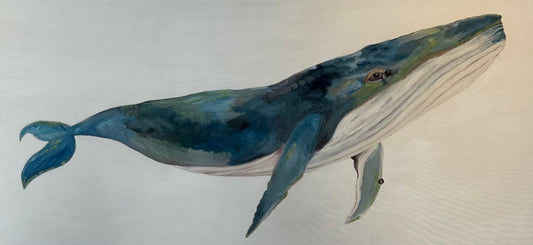 Ballena I