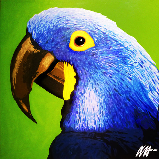 Blue Macaw - Brazilian Vibes Series