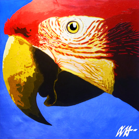 Red Macaw - Brazilian Vibes Series 