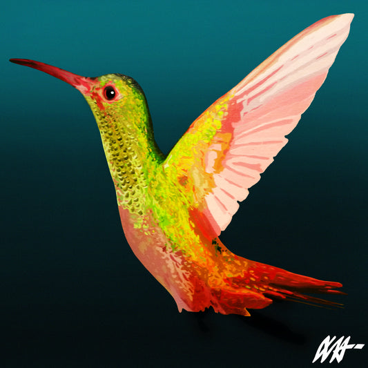 Hummingbird - Brazilian Vibes Series 