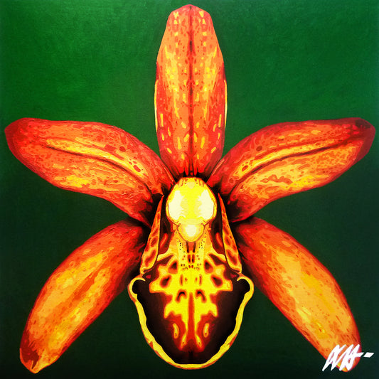 Cathléya Orchid Orange - Brazilian Vibes Series 