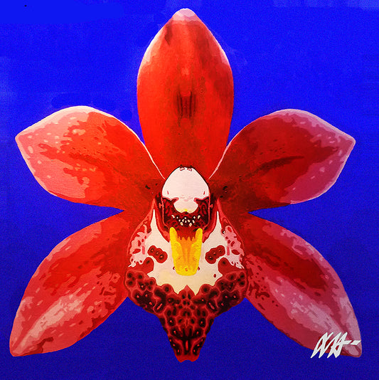Red Cyimbidium Orchid - Brazilian Vibes Series 